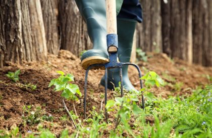 Spring garden concept. Gardener is doing garden work with hay fork. Garden work